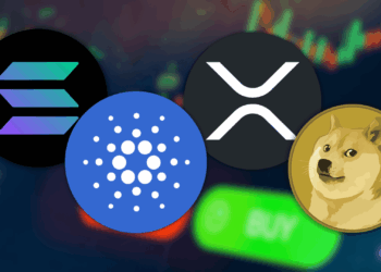 Analysts Predict High Odds for Sol Xrp Ada Doge Etf Approvals in 2025 Should You Buy Now