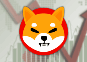 Analysts Predict Shib to Surge 37 in June 2025 Amid Whale Activity Spike