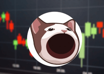 Analysts Predict Solanas Popcat Could Double Amid Surging Memecoin Interest Here is Why