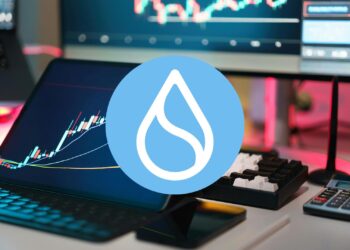 Beyond the Price Dip: Sui's On-Chain Metrics Show Strong Growth