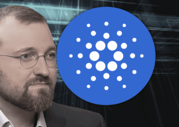 Big Cardano Fud Whats Really Going on