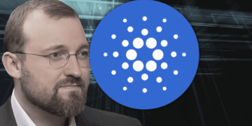 Big Cardano Fud Whats Really Going on