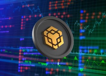 Binance Coin (BNB) Slows Down: Why Whale Caution Could Lead to Volatility