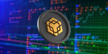 Binance Coin (BNB) Slows Down: Why Whale Caution Could Lead to Volatility