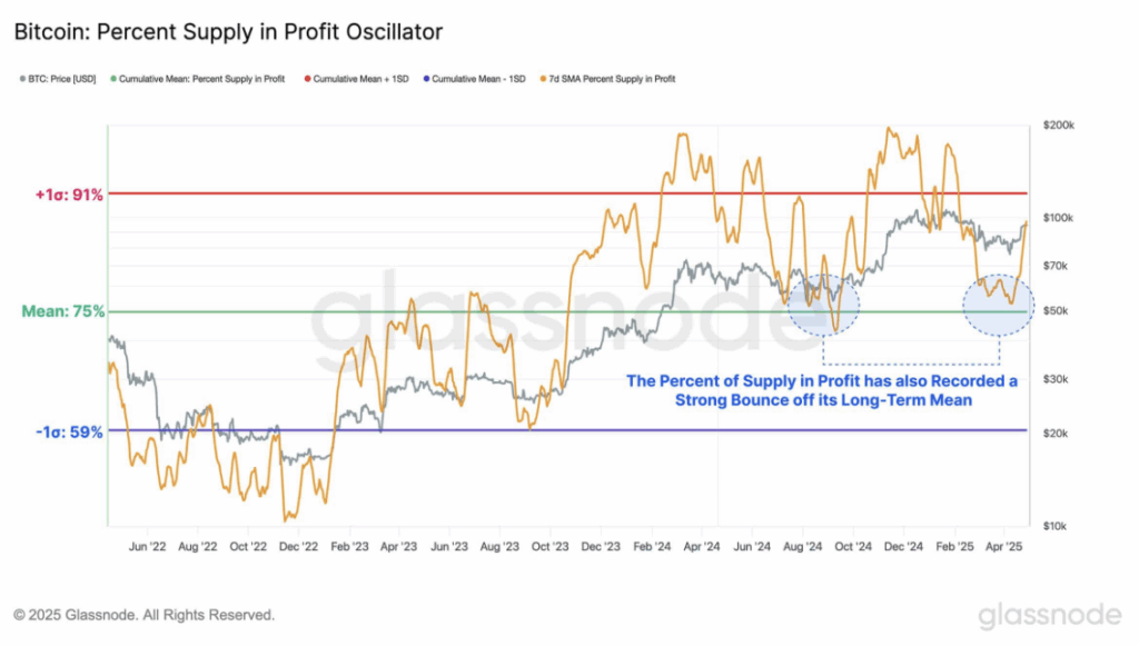 Bitcoin Btc Percent Supply in Profit Oscillator