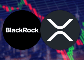 Blackrocks Meetings with Sec Fuels Xrp Etf Speculation is This Realistic