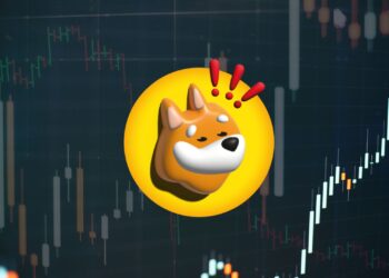 BONK Slips Hard, But One Glimmer of Hope Still Stands