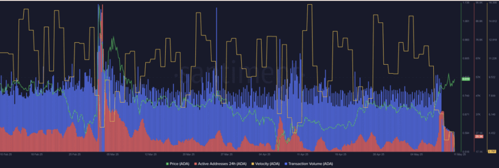 Cardano Ada Network Activity