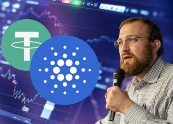 Charles Hoskinson’s Big Bet: Privacy-Enabled Stablecoins on Cardano