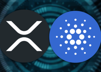 Coinbase Introduces Wrapped Xrp and Ada to Boost Base Defi What You Need to Know bullish