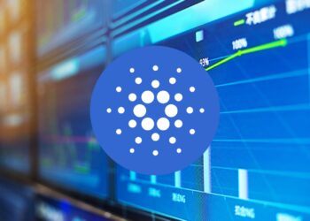 Despite Price Drop, Cardano Whales Scoop Up 80 Million ADA
