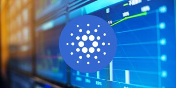 Despite Price Drop, Cardano Whales Scoop Up 80 Million ADA