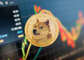 DOGE Cools Off as Weekend Volume Drops — But Whales Keep Buying