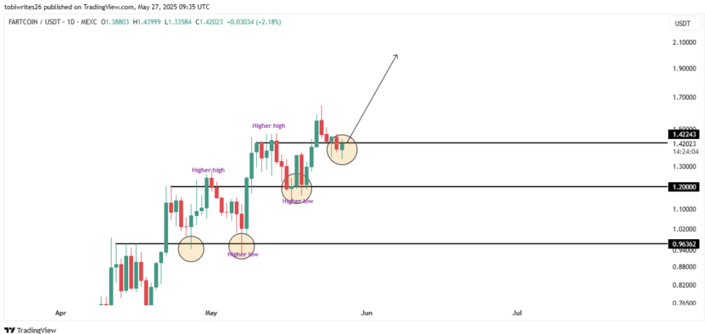 Fartcoin Chart