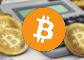 How Much Bitcoin Would You Have Right Now if You Bought $5000 Worth Last Year