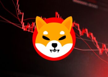 SHIB Price Slips Amidst 80% Burn Rate Drop: Is Hope Fading for Shiba Inu?