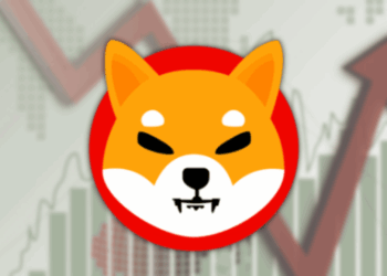 Shiba Inu Shib Bullish Momentum Builds As Whales Increase Holdings Here is What Big Money Doesnt Want You to Know