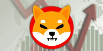 Shiba Inu Shib Bullish Momentum Builds As Whales Increase Holdings Here is What Big Money Doesnt Want You to Know