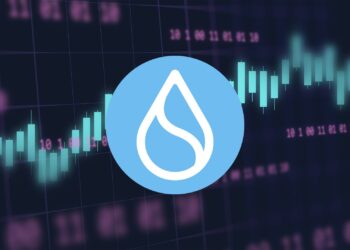 Sui Network Is on Fire: Here is Why the Next Move Could Be Huge (DONT MISS THIS)