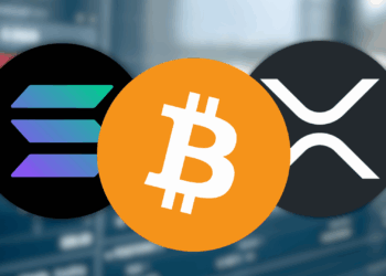 These 3 Cryptos Could Become Industry Standards in the Next 5 Years