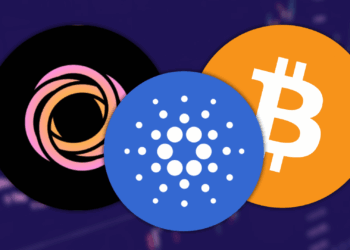 Lace Wallet Showcases Bitcoin on Cardano Defi This Changes Everything and Here is Why