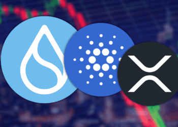 Top 3 Altcoins You Need to Buy Before the Upcoming Altcoin Season massive Potential