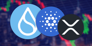 Top 3 Altcoins You Need to Buy Before the Upcoming Altcoin Season massive Potential