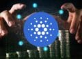 Whales Scoop Up 410M ADA in April—What’s Going On?