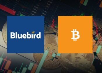 Gold Miner’s Announce Transition to Bitcoin: Sends STock Soaring 60 Percent