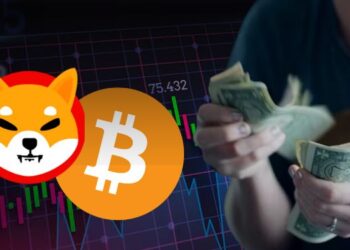 How a $1K SHIB Investment Outpaced Bitcoin's Returns