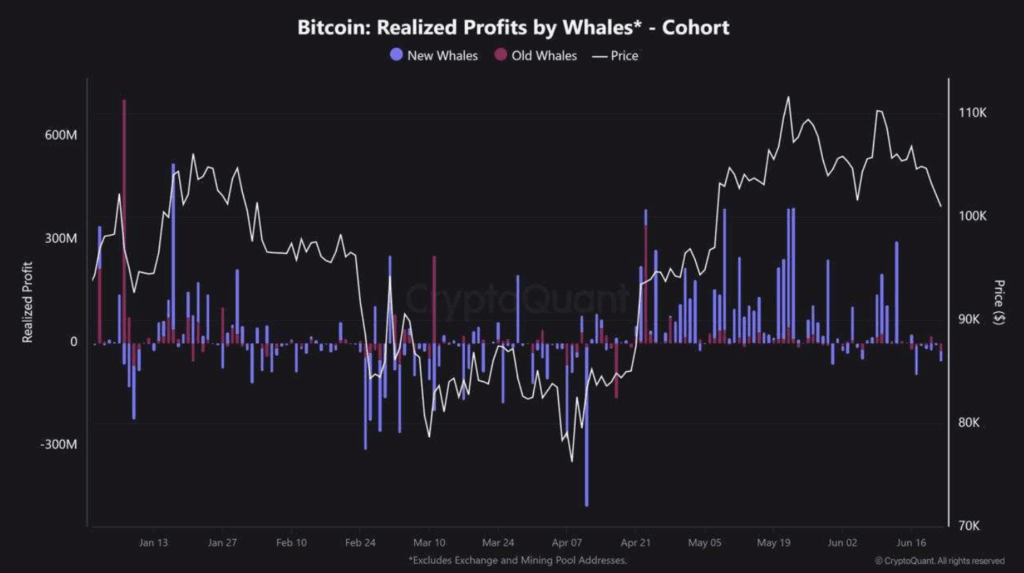 Bitcoin Realized Profit by Whales