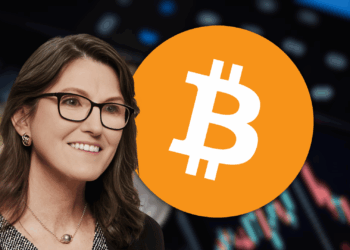 Bitcoin Surges As Traditional Markets Show Cracks Ark Invest Reports