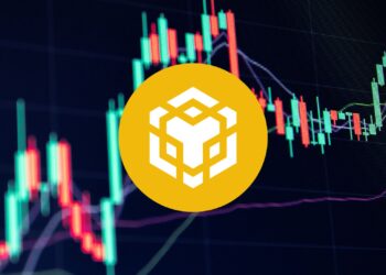 BNB Price Wobbles, but Bulls Still Watching $700 Mark