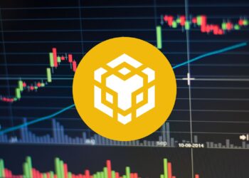 BNB’s Long-Term Future Looks Bright — But Not Without Uncertainty