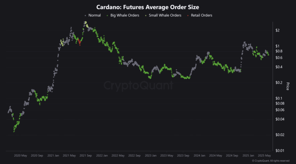 Cardano Ada Futures Average Order Size