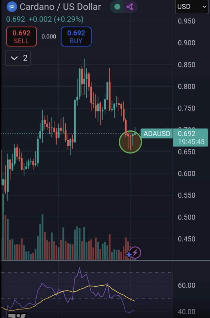 Cardano Ada Price Prediction