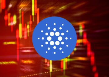 Cardano’s Cold Reality: Big Dreams, Not-So-Big Results