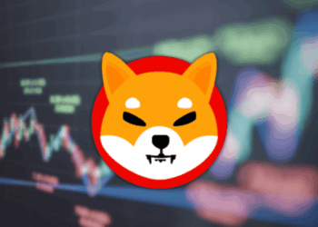 Could Shiba Inu shib Finally Outpace Dogecoin by 2030