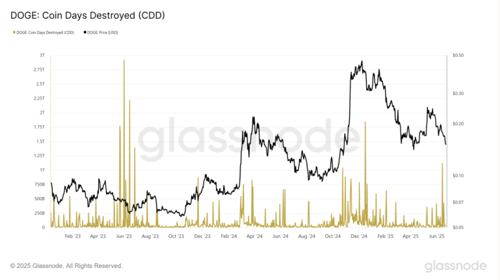 Doge Coin Days Destroyed