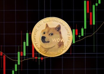 Dogecoin’s Heating Up—But One Whale Move Has Everyone on Edge