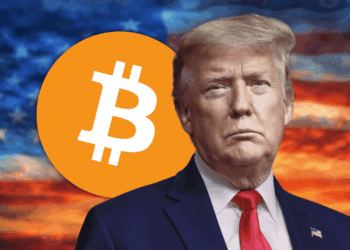 Donald Trump Plans to Establish Clear and Simple Frameworks to Help America Dominate Crypto and Bitcoin Here is How