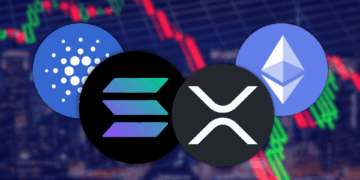 Dont Get Burned by the Bull How to Actually Win in a Crypto Bull Market