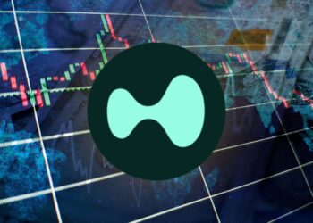 Hyperliquid Breaks Into Top 11 as Whales and Traders Rush In