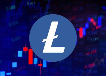 Litecoin Builds Momentum On-Chain: Is a Major Price Rally Next?