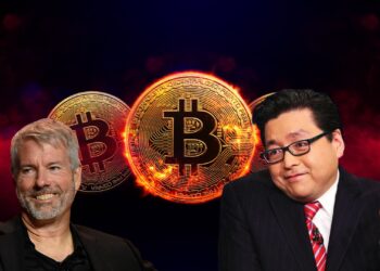 Not All BTC Treasury Firms Will Survive the Storm