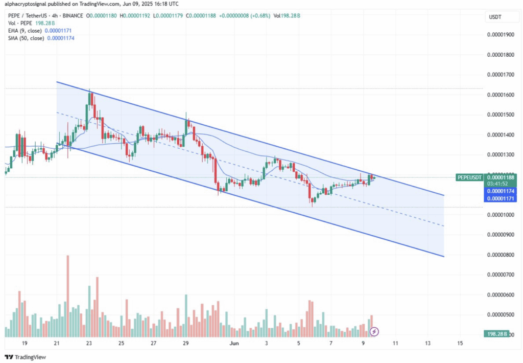 PEPE Eyes Breakout As Market Sentiment Flips Bullish – BlockNews