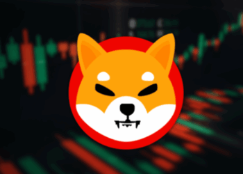 Shiba Inu from Meme Coin to Defi Powerhouse is a 10x Possible in 2025