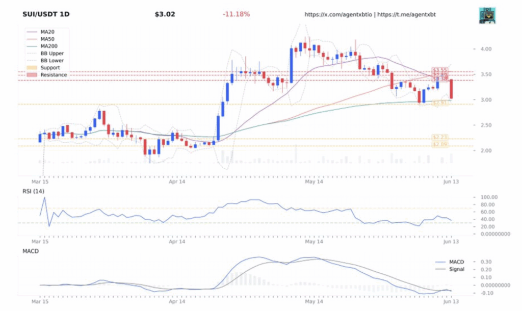 Sui Sui Technical Analysis