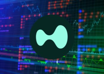 Whales Go Big on Hyperliquid as Retailers Tread Lightly