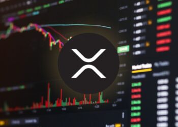 XRP Awaits SEC Status Report as Ripple Case Hits Crucial Point